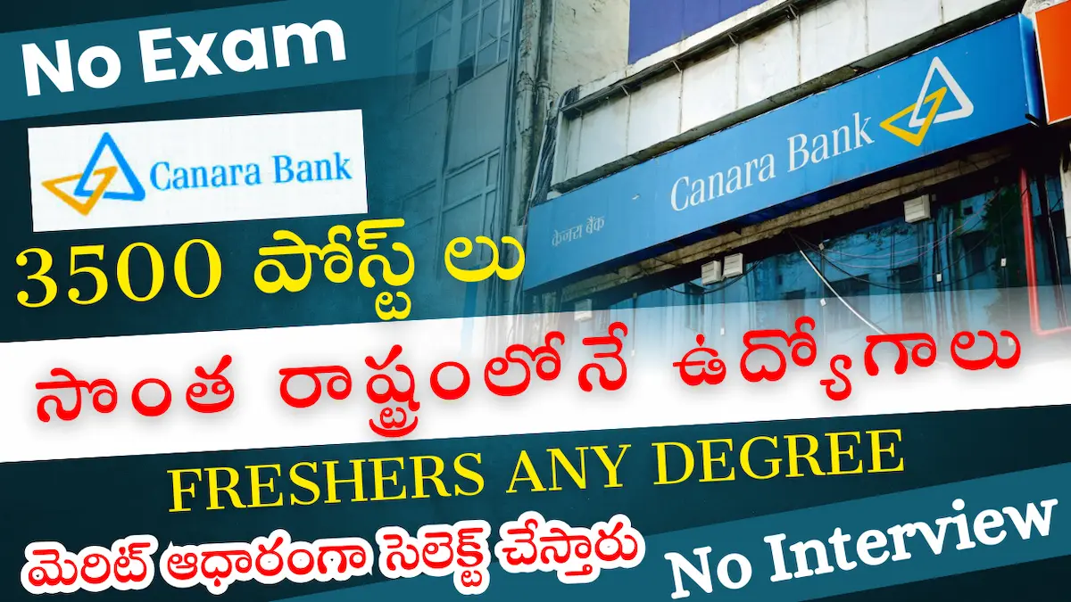 Canara Bank Graduate Apprentice 2025 – 3500 Jobs | Apply Online