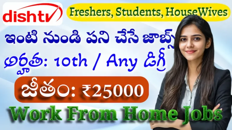 DishTV Work From Home Jobs 2026 | Students & Freshers Apply